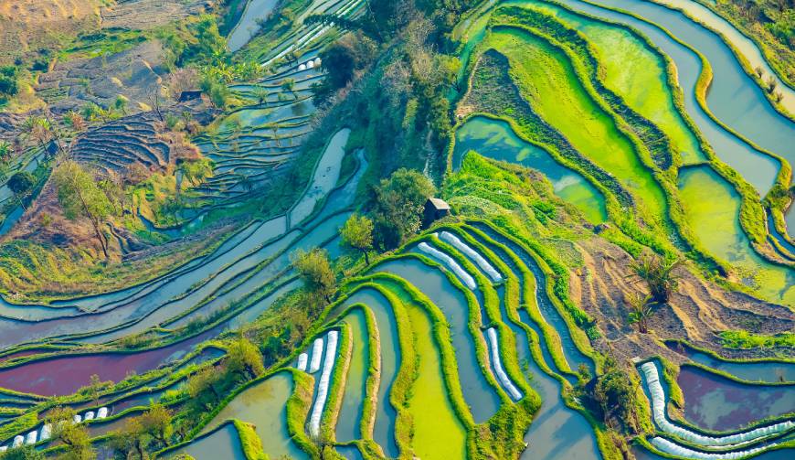 恩阳区宣传片拍摄咨询中心-全方位支持